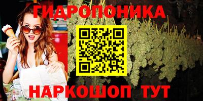 ПСИЛОЦИБИНОВЫЕ ГРИБЫ Донской