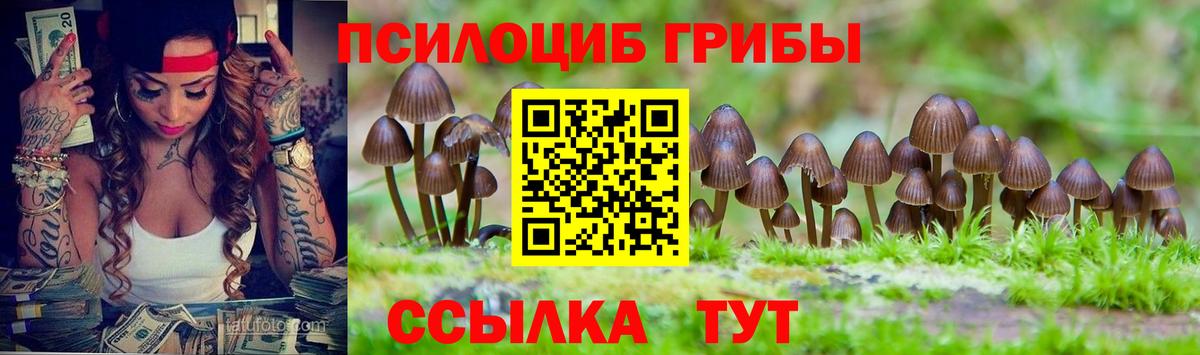 Галлюциногенные грибы MAGIC MUSHROOMS Медногорск